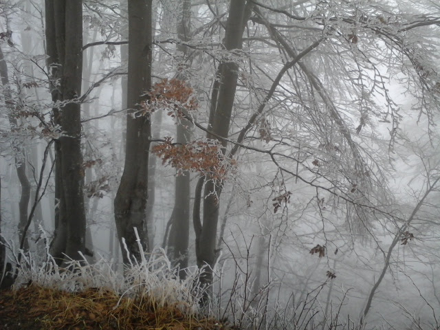 OHRANITEV TEKAŠKE KONDICIJE SKOZI&nbsp;ZIMO