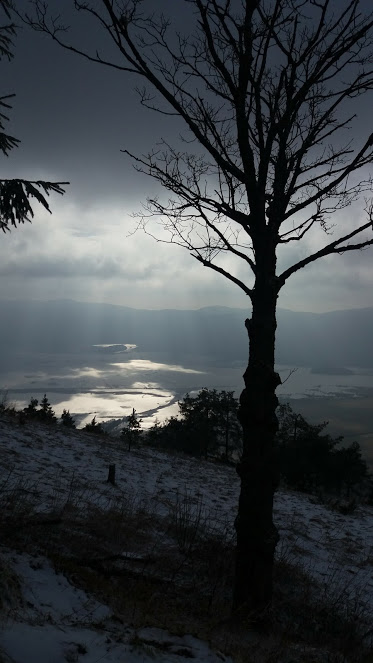 DA ZARADI TEKA NE BOSTE&nbsp;ZBOLELI