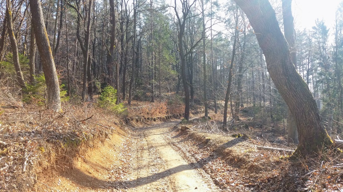 AVTOCESTA OKROG KLOBUKA