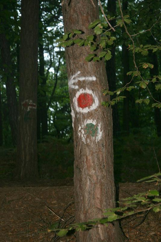 Podutik-Klobuk-Bokalce