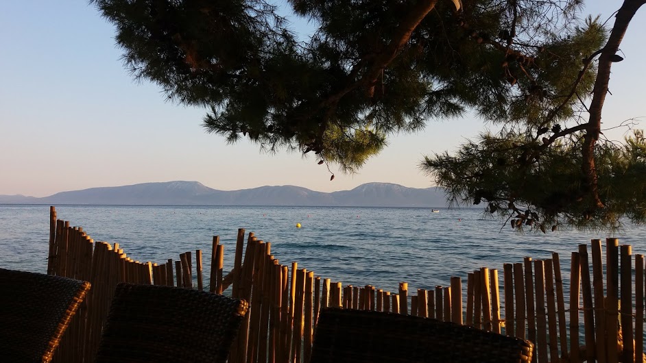 TEKAČ  NA MORSKEM&nbsp;DOPUSTU