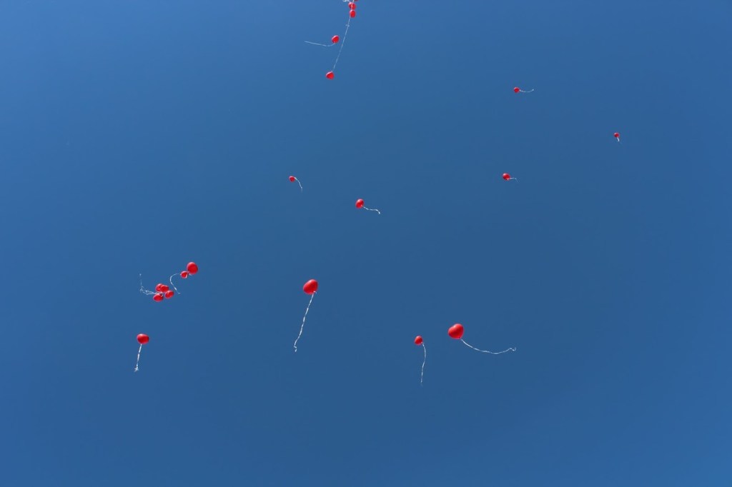 MOJ DEVETI MARATON&nbsp;(2013)