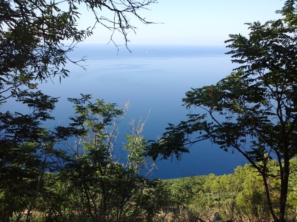 TEKAČI, NETEKAČI IN SLABA&nbsp;VEST