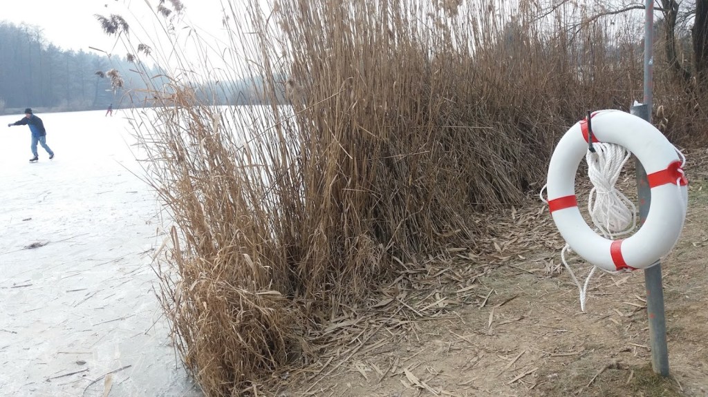 NARAVNA DRSALIŠČA – KOSEŠKI&nbsp;BAJER