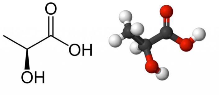 TEKAŠKI PLAN ZA MARATON – utrjevanje&nbsp;hitrosti