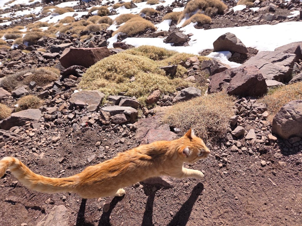 Treking Maroko - Toubkal - Imlil
