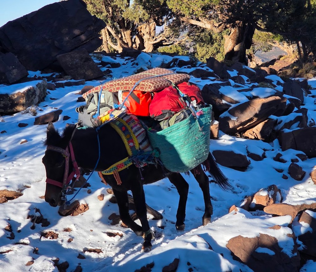 Treking Maroko - Toubkal - Imlil