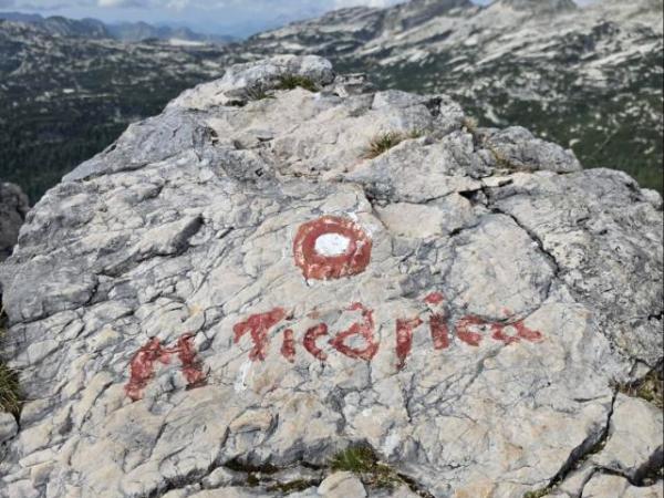 Nogavice, Mala tičarica in&nbsp;ustava